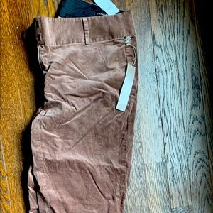 NWT Loft Julie Velour Bootcut Pants - Size 6